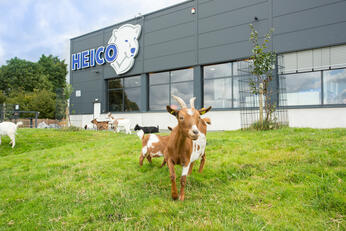 HEICO Tiergehege