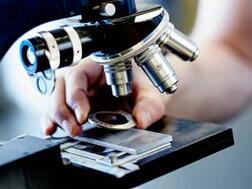 Improvement of the corrosion resistance of HEICO-LOCK® stainless steel wedge lock washers